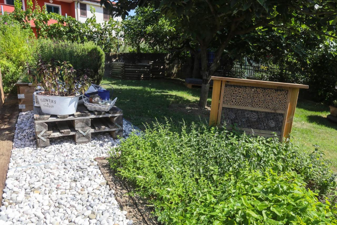 Healthy House Glamping Hotel Koper Buitenkant foto