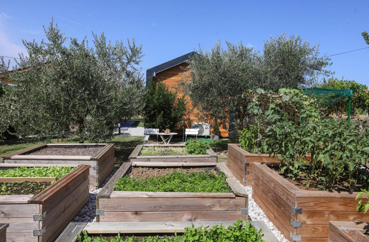 Healthy House Glamping Hotel Koper Buitenkant foto