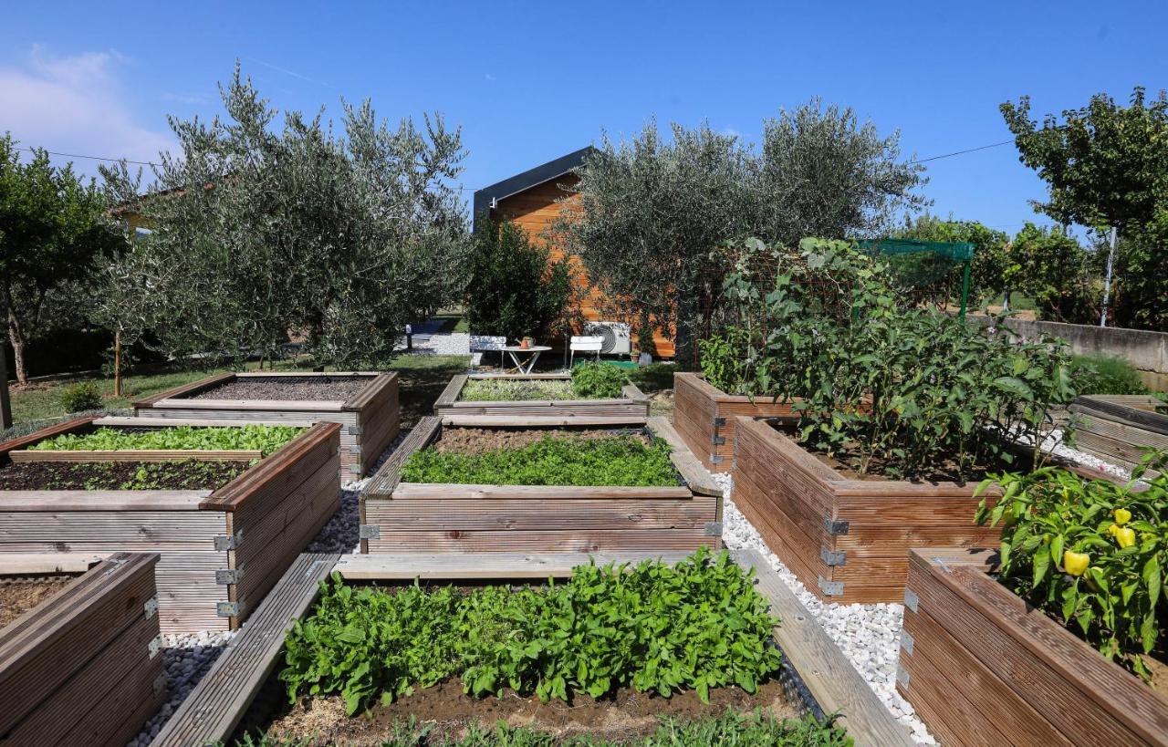 Healthy House Glamping Hotel Koper Buitenkant foto